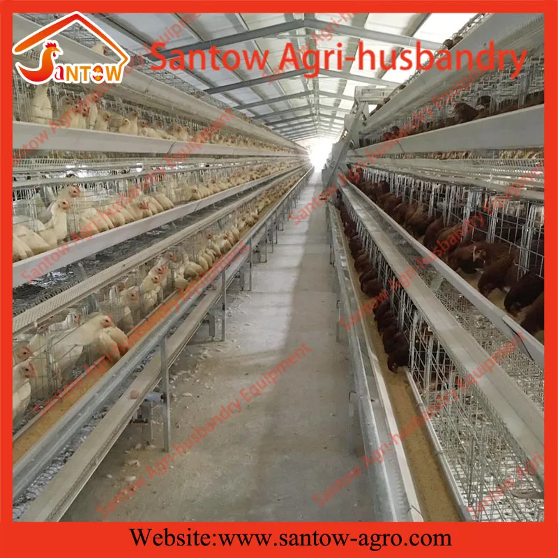 A type battery cage 4 tier chicken layer cages how to build a chicken coops for poultry farm