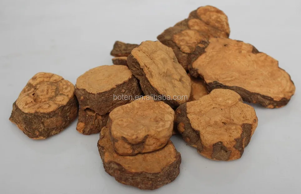 Tuber Fleeceflower Root Extract with Fo Ti