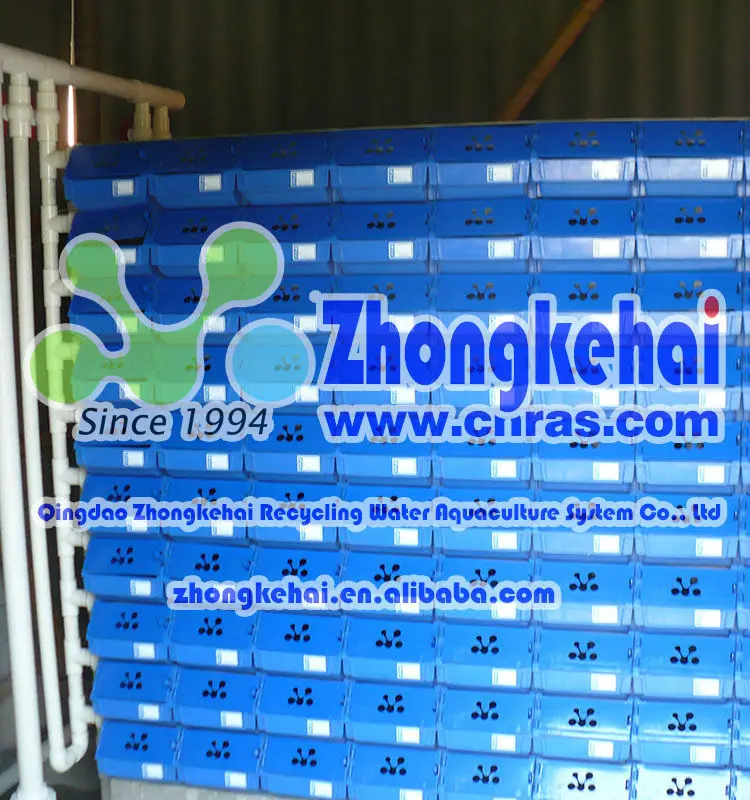 
china, new productions, Mud crab farming box 