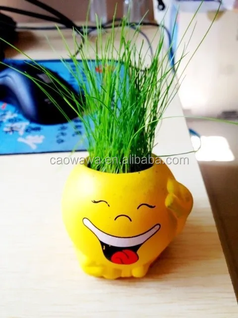 Новейший подарок 2015, горшок, мини-горшки для растений. Голова смеха улыбки