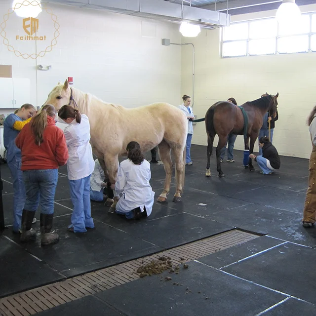 Interlocking Stable Horse Mat 34mm EVA 6ft X 4ft As Adequate Drainage for Liquids