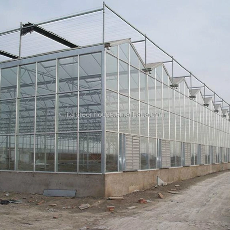 Multi span glass greenhouse