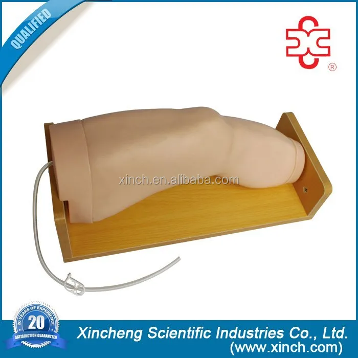 Коленного сустава внутриполостной литья под давлением модель