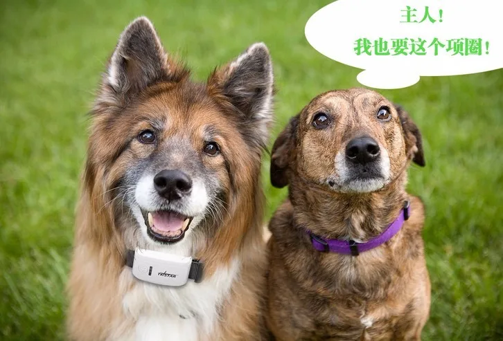 TKSTAR TK909 Pet Smallest Dog Collar  Gps racker  MINI GPS GSM Tracker