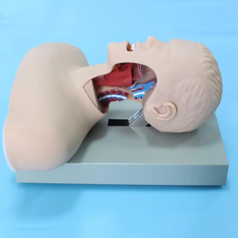 Chinon High Quality Training Pvc Medical Science Tracheal Baby Model Airway Intubation Mannequin With Alarm