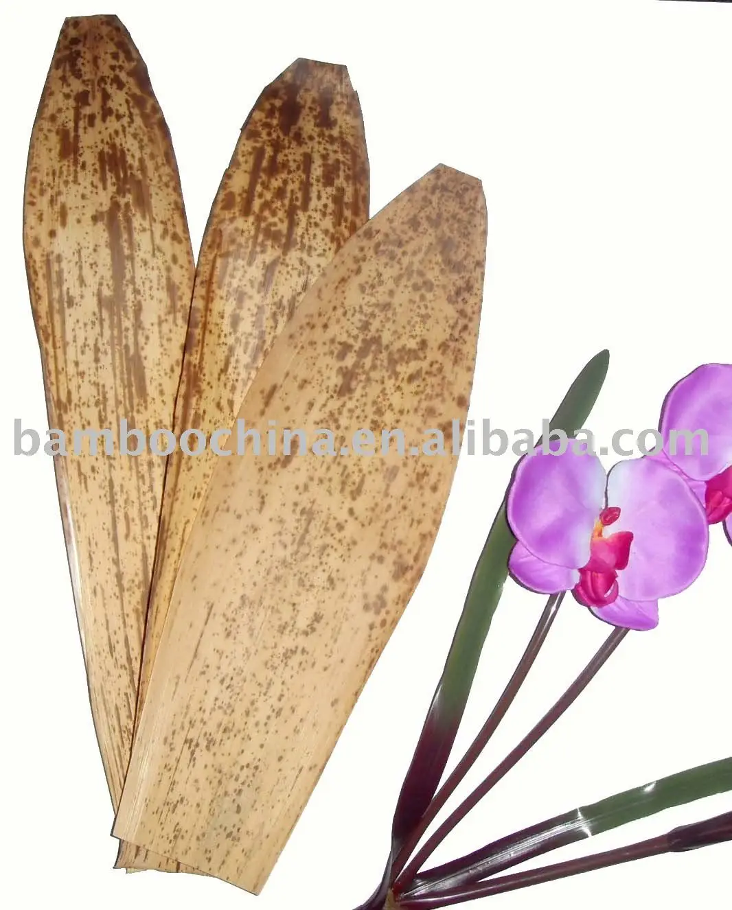 Зеленые Свежие Бамбуковые листья вакуумные Упакованные для суши бамбуковые