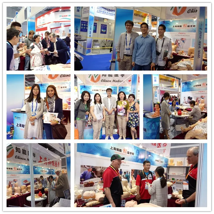 Medical Science Male Pelvic Anatomic model for Disease Demonstration Medical Teaching Tool