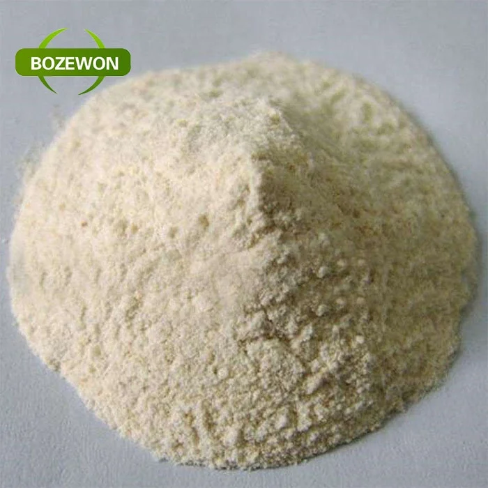 Non-GMO Rice Protein concentrate powder