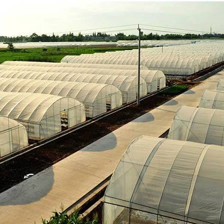 
cheap vegetables tunnel greenhouse baolida tunnel green house 