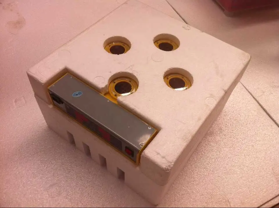 Недорогой инкубатор для куриных яиц, инкубатор для 56 яиц, мини-инкубатор