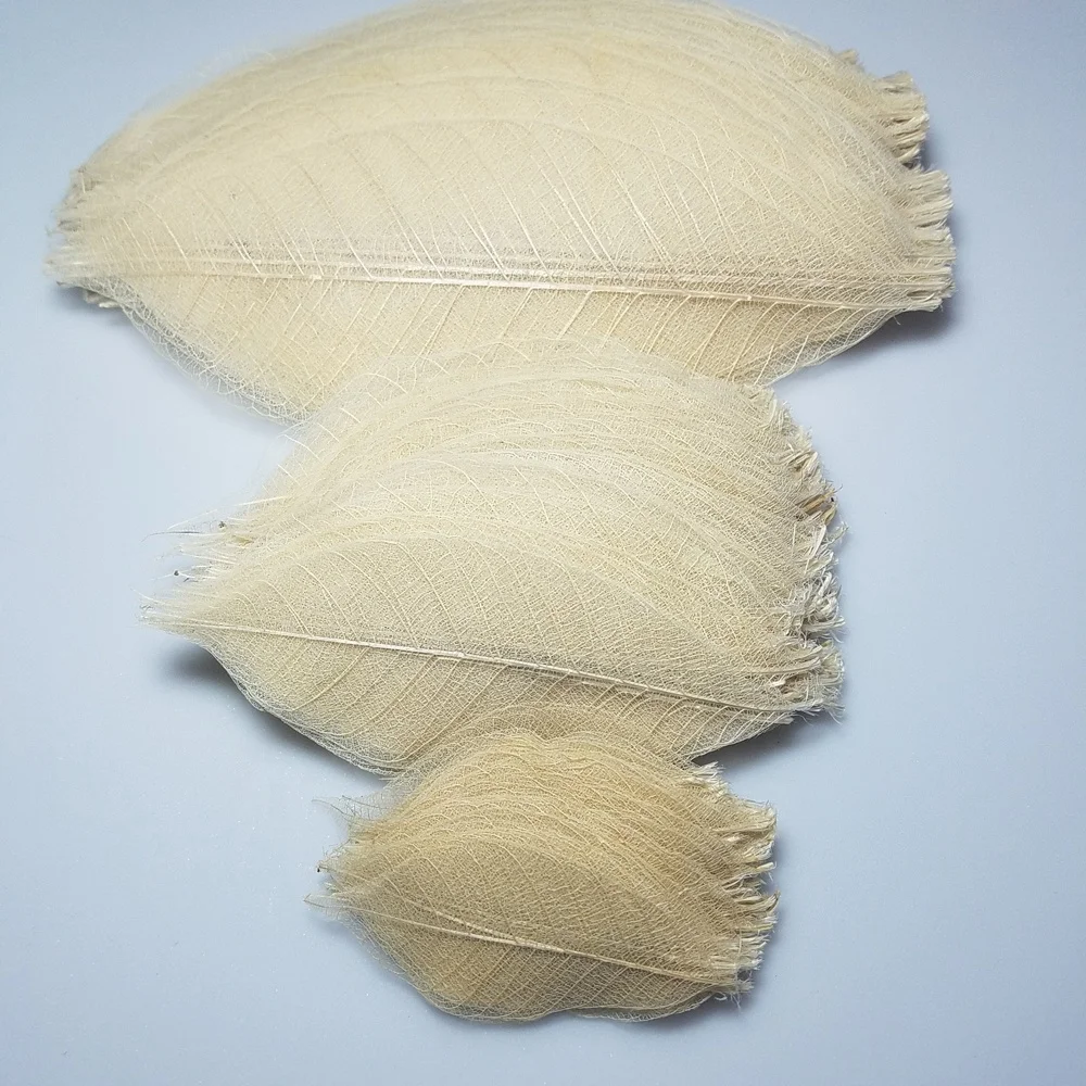 Small Medium Large Bulk Pack Natural Skeleton Leaves For Wedding Table Decoration