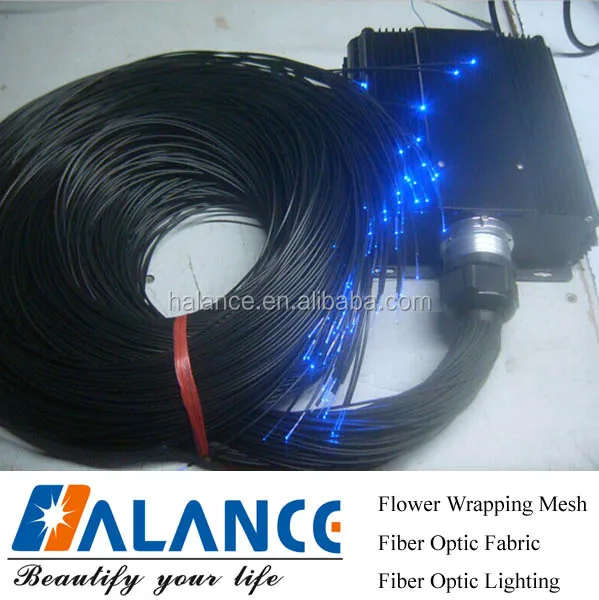 End Light Fibre Optic For Swimming pool ceiling
