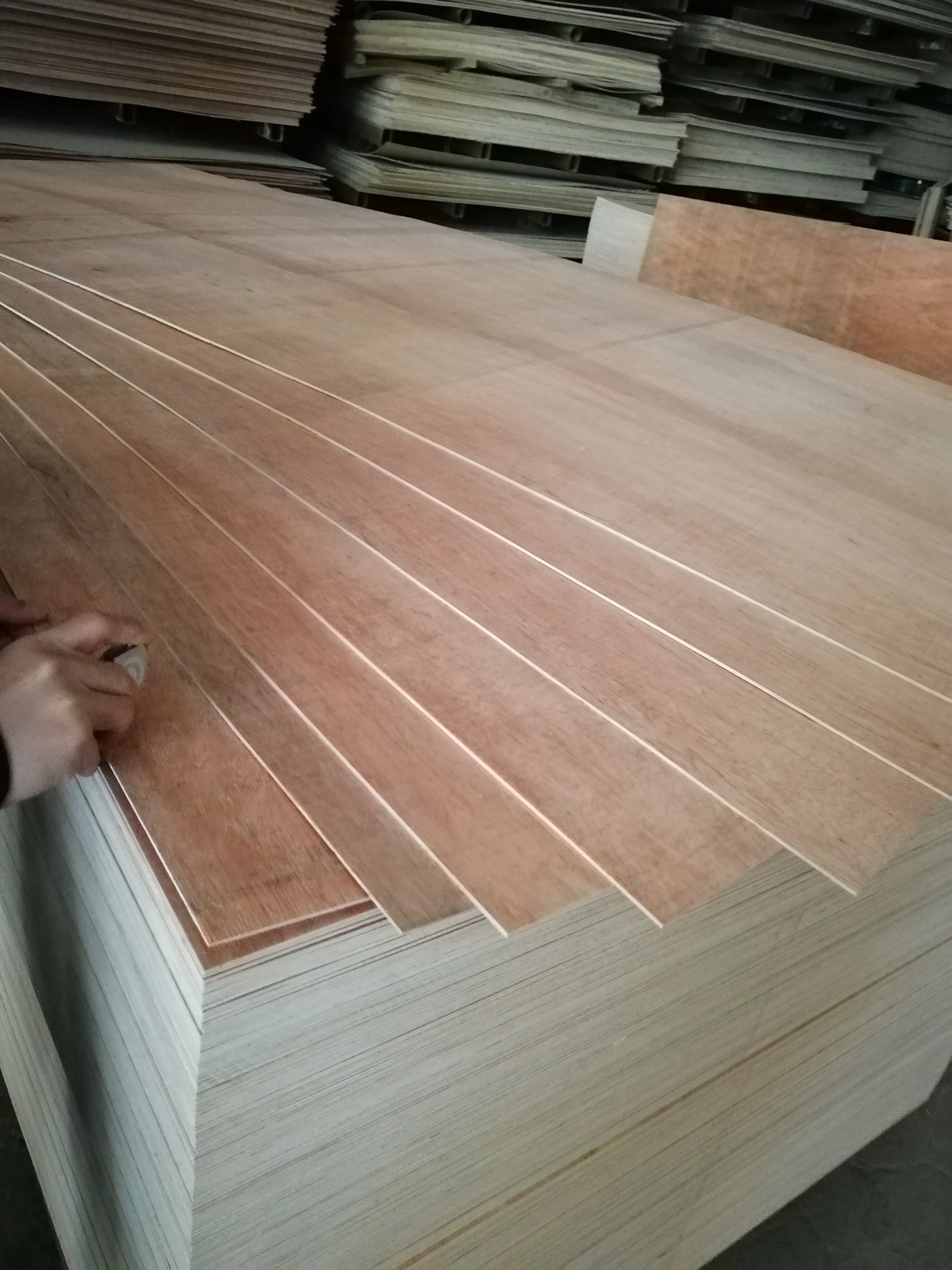 best quality First-Class Grade furniture grade plywood and white  Poplar Main Material ply