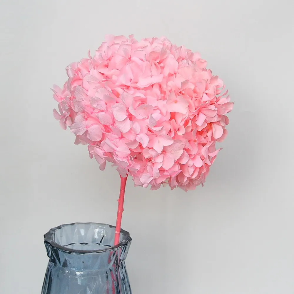 China factory supply Wholesale white and pink Hydrangea Flowers Real Touch Hydrangea hydrangea flower
