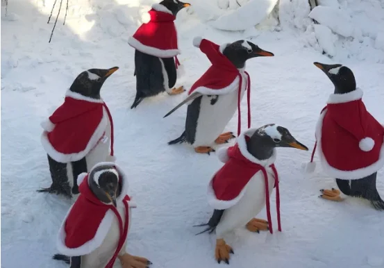 2018 Рождественская одежда для домашних животных/утолщенная Милая шаль из ворса для маленьких собак в продаже