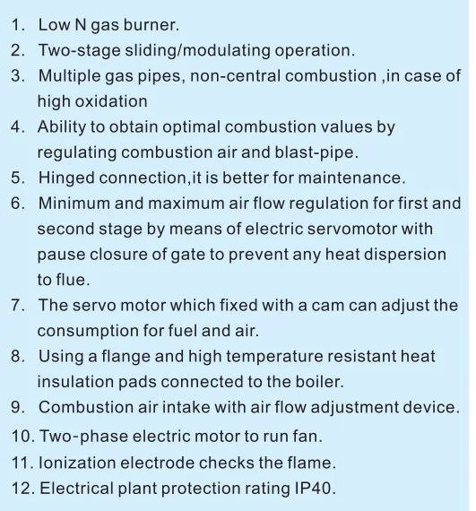Fuel economy BTN40GN gas burner for paella