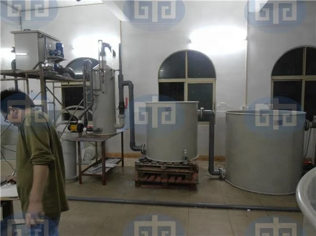 Customized 60Tons/year Catfish and Tilapia Fish Farming System