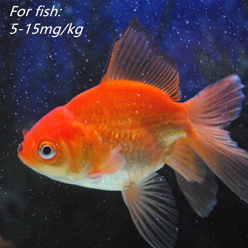 
Veterinary medicine fish breeding hormones fish grade Praziquantel 