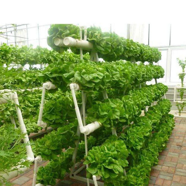 
Promotion New indoor hydroponic growing system vertical farming tower comercial or garden use 