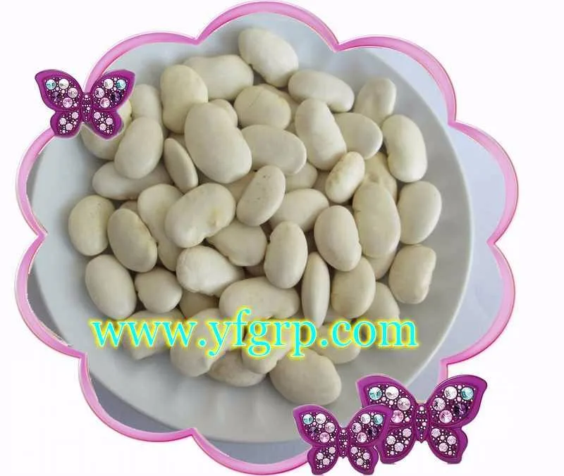 
Super grade Medium white kidney bean(square shape) 