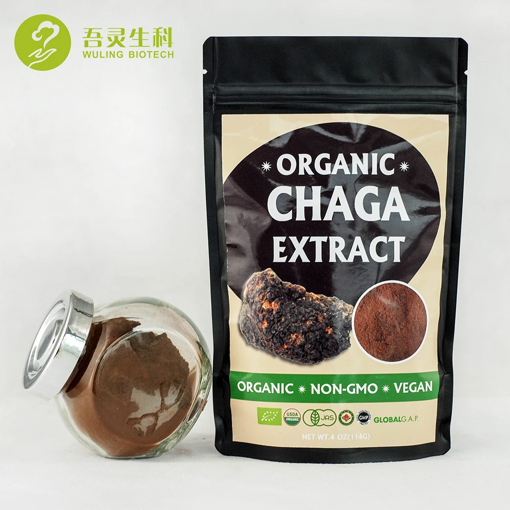 Herbal Supplement Bio Herbs Chaga Powder Wild Organic Chaga Mushroom