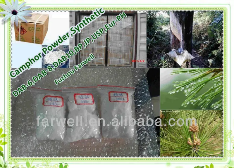 Farwell камфоры порошок синтетического (GMP / кошерная / ISO)