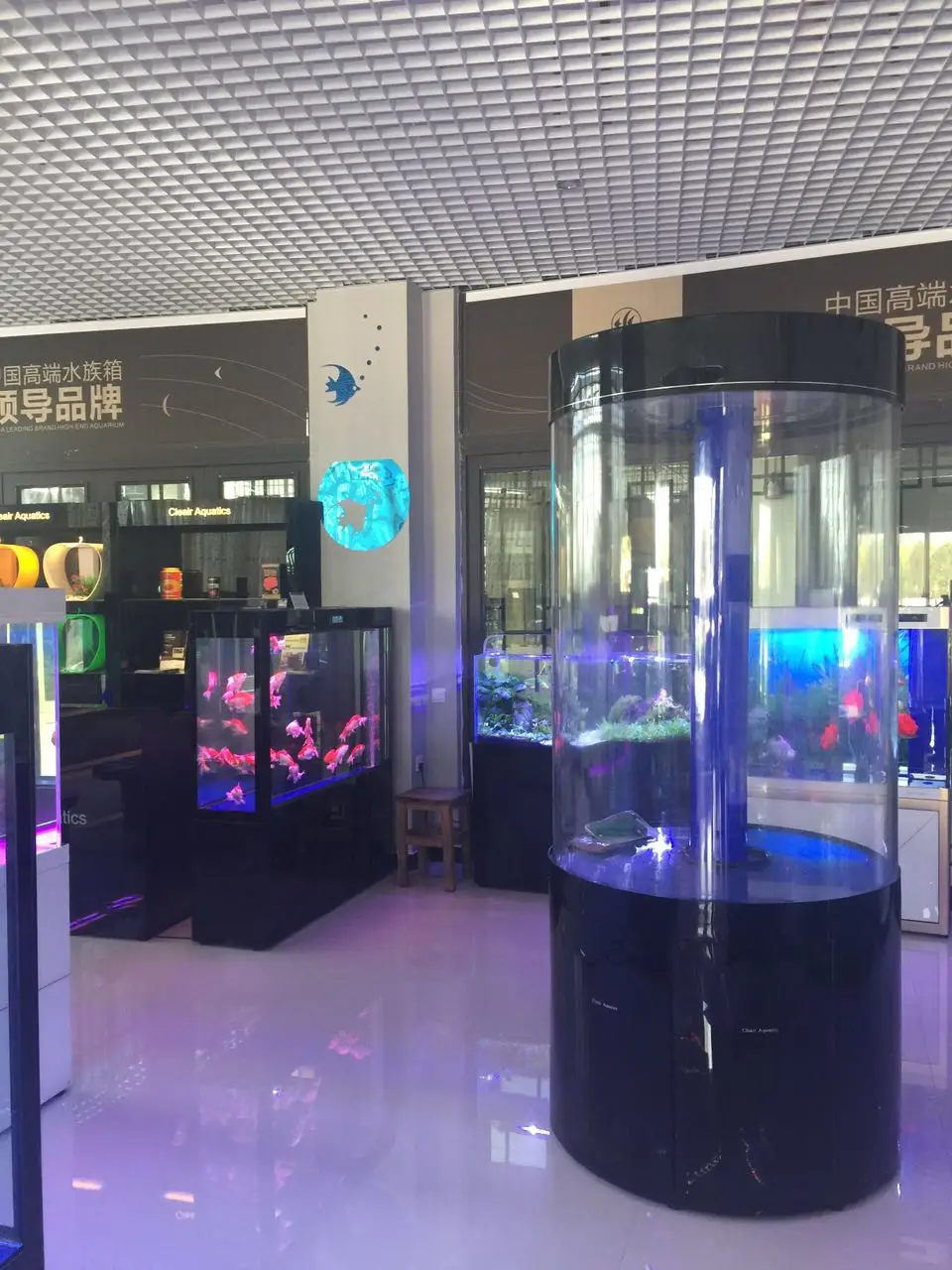 40 Gallon 60 Gallon Cleair Aquatics Acrylic Aquarium Fish Tank  Cylinder