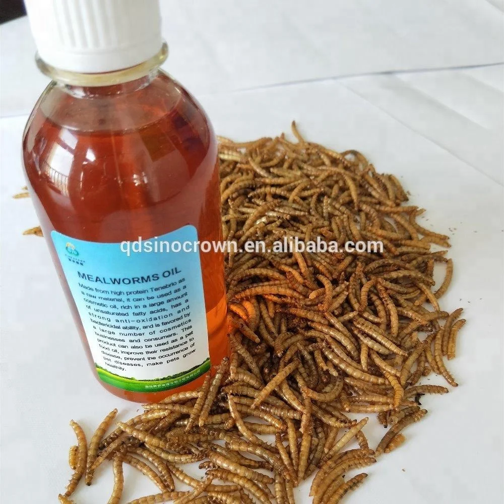 
Insect oil mealworms oil fish meal oil 