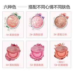 OEM Air Cushion Blusher blush powder blusher with brush