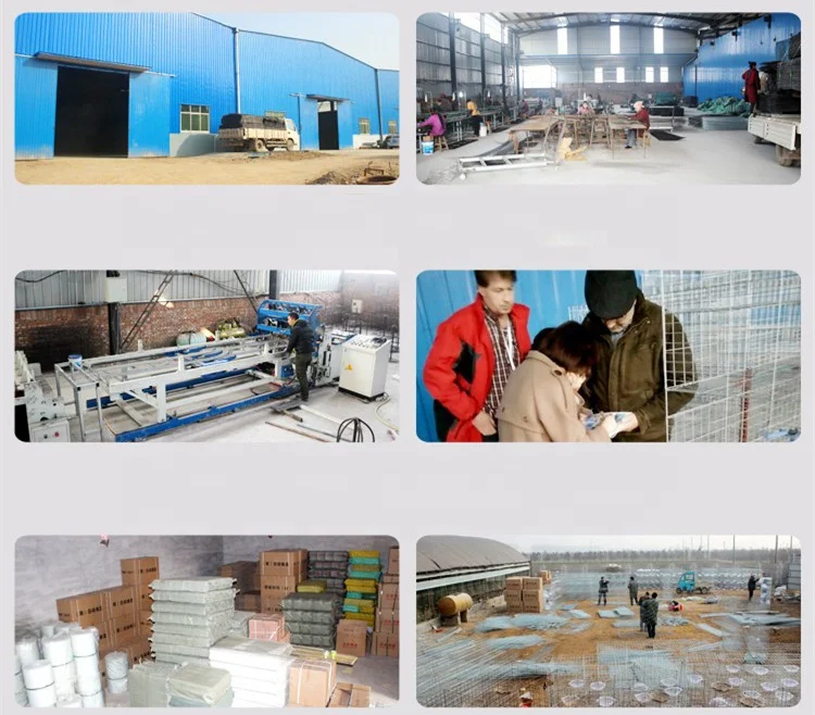 high quality quail cage for sale,quail laying cage, cages for quail ( lydia whatsapp: +8615965977837)