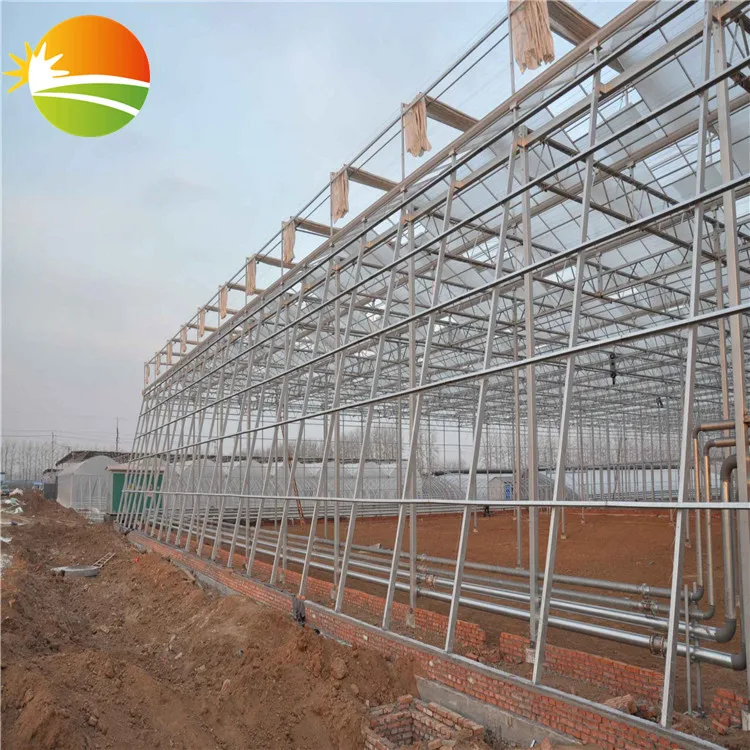 UV Polycarbonate PC sheet Hot-Galvanizing pipe Multi-Span Greenhouse