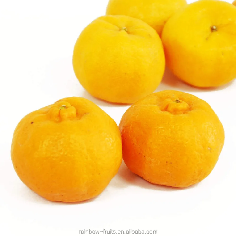 
Hot Sale Fresh Sweet High Quality Ponkan/Lugan Mandarin Orange 