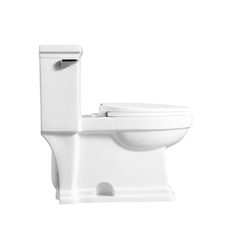 Washdown Floor Mounted Siphonic Flushing One Piece Composting Toilet Waterless