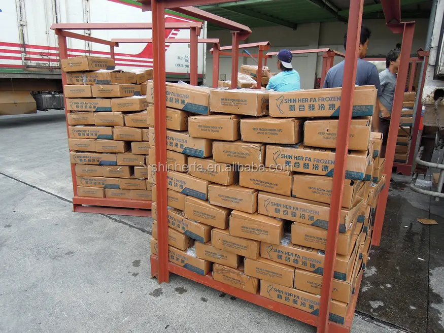 
Taiwan Frozen Sardine 90/100 PCS & 100/120 gram 