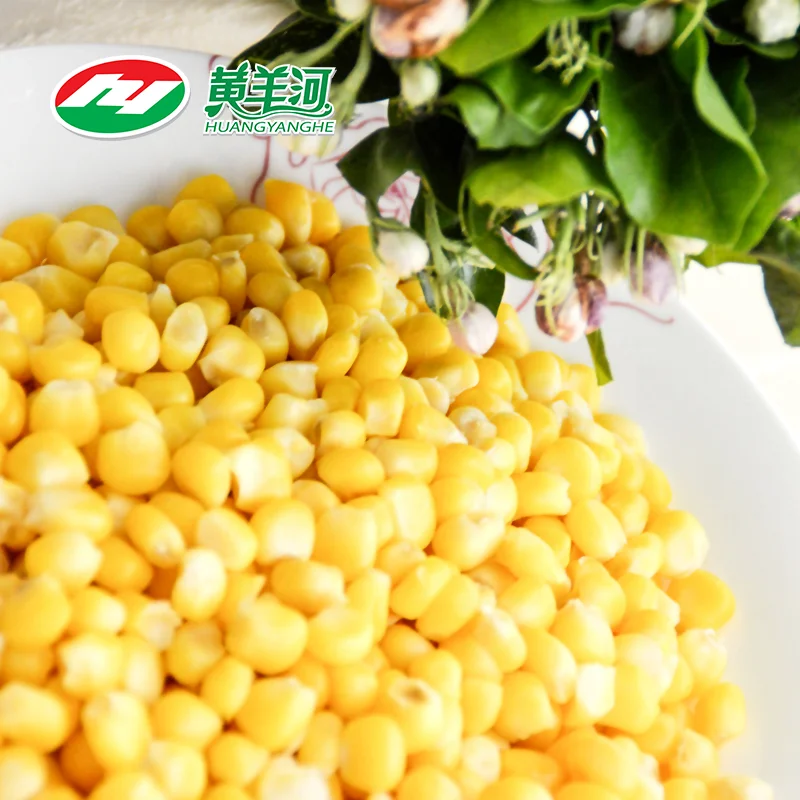IQF Frozen Sweet Corn  Kernel Corn with High Quality export to JAPAN