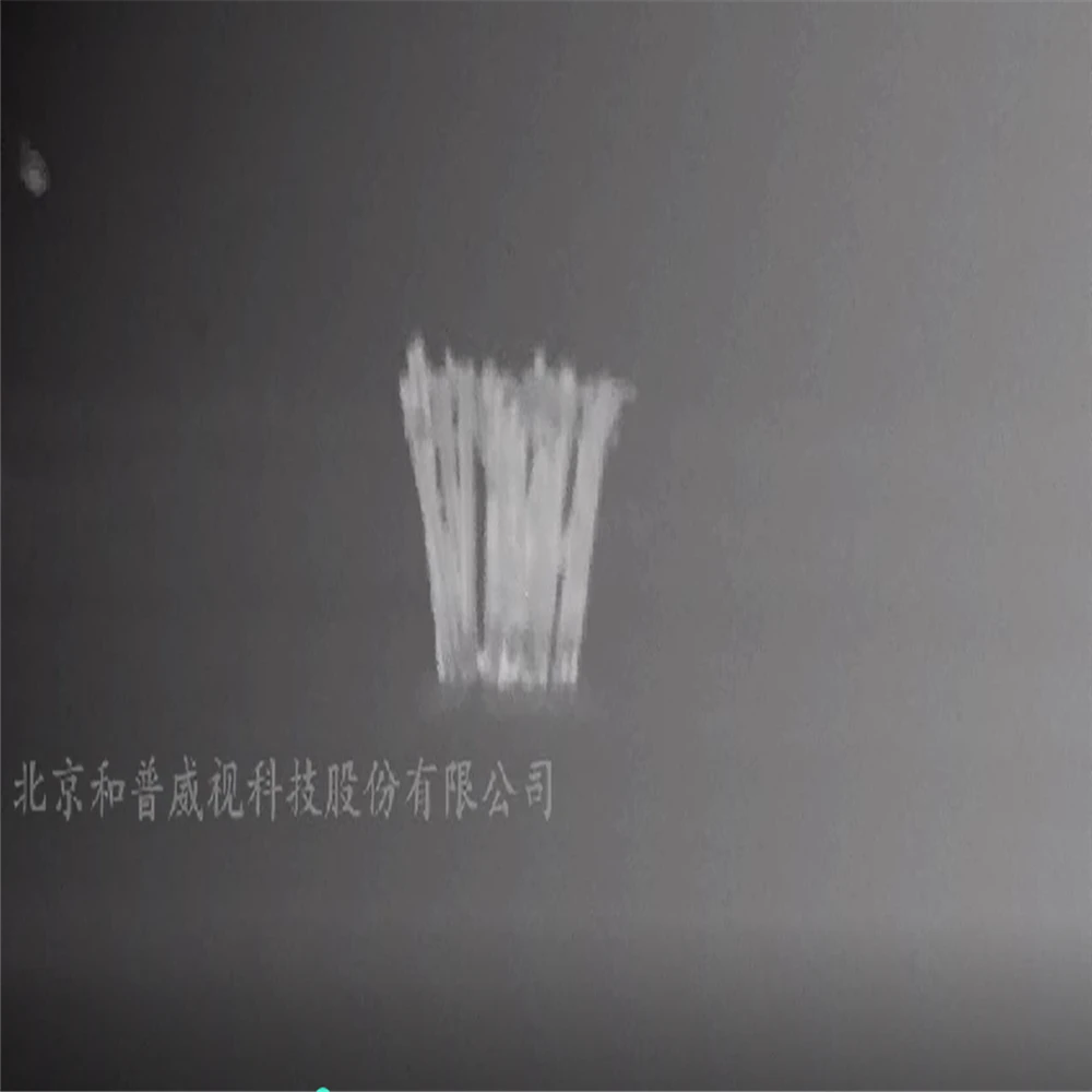 Competitive Price Laser CCTV IP PTZ Camera for Monitoring Security