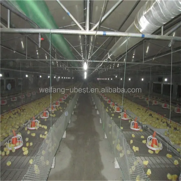 
 Автоматический дизайн курятника, бройлера, птицефермы  