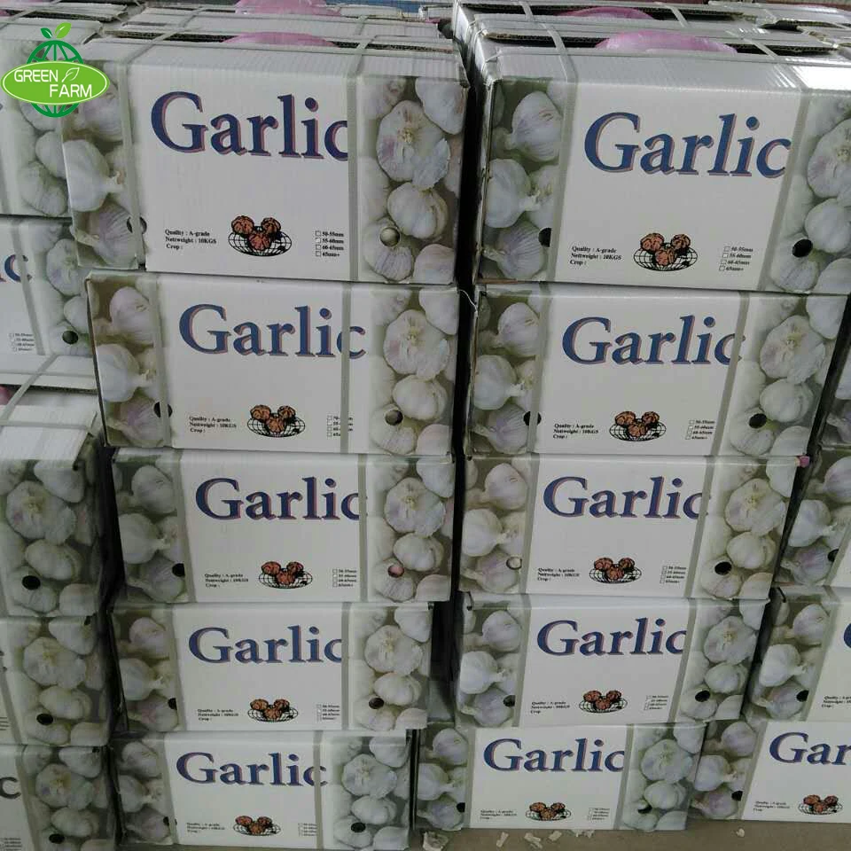 Cold Stored Fresh Garlic hometown of garlic White Garlic