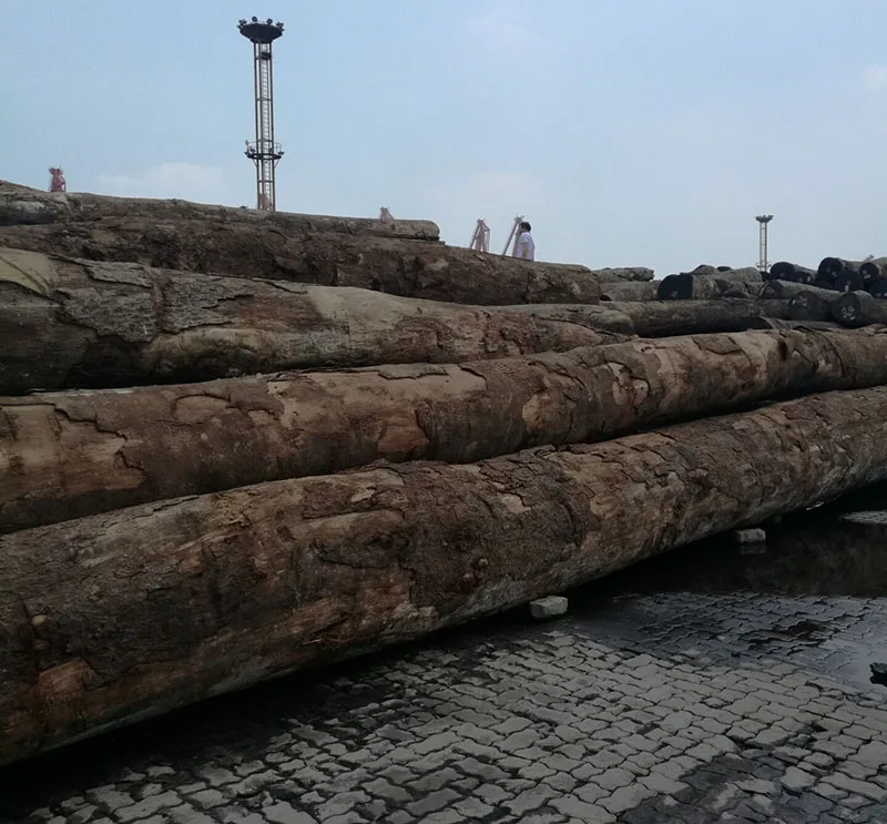 Doussie , Sapelli , Tali , Teak , Pachyloba Wood Logs