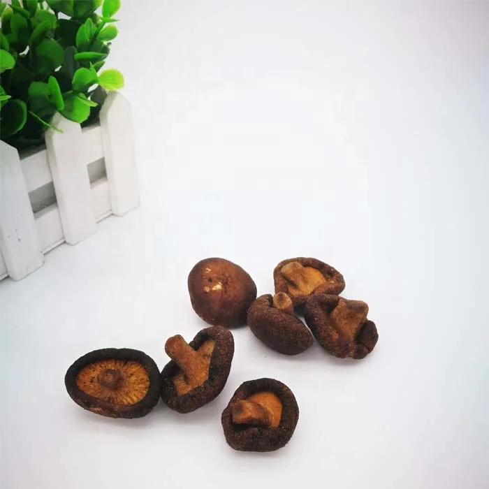 
Higher quality mushroom snacks products bbq flavor mushroom 