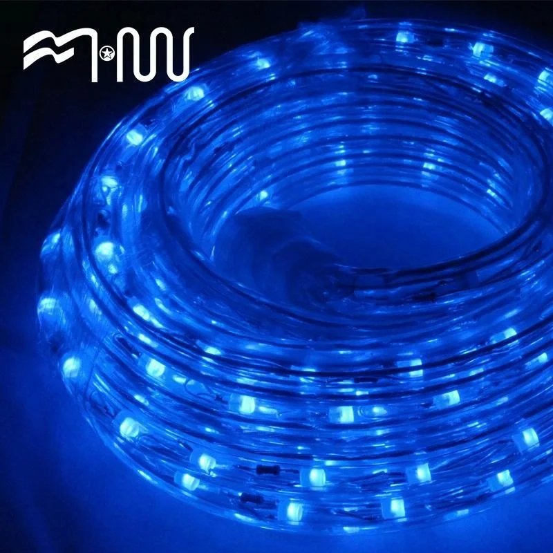 RGB Plastic outdoor festival led strip light rope light water tube light