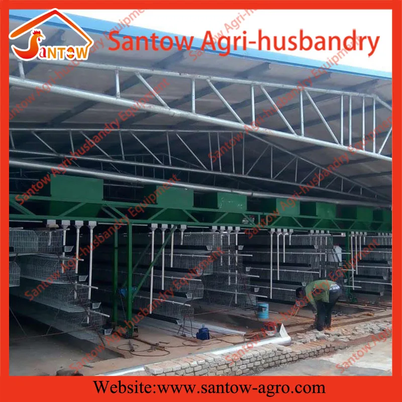Senegal Battery Chicken House Designed Lowest Price Chicken Layer Cage For Sale( guangzhou Factory )