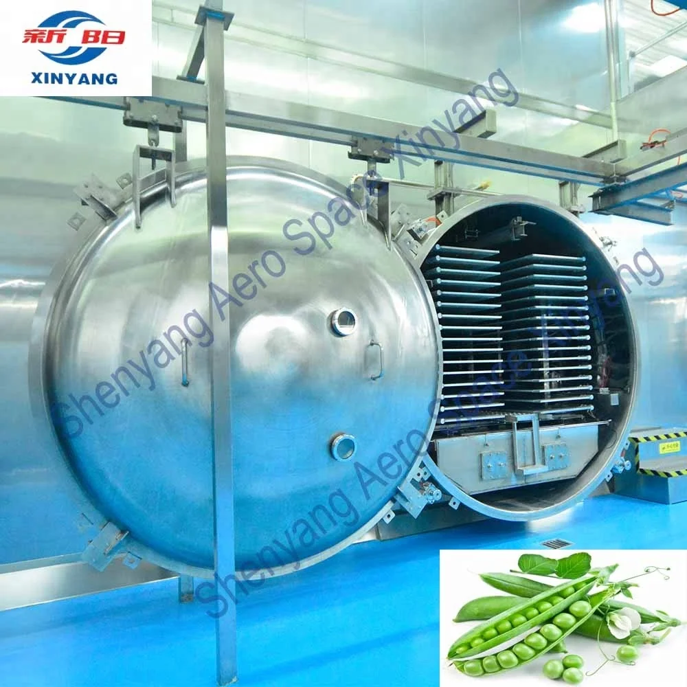 Fruit and vegetable vacuum freeze dryer factory lyophilizer price for freeze dried food processing production line