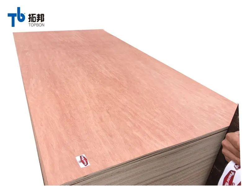 wbp mahogany veneer birch plywood 18mm with good price