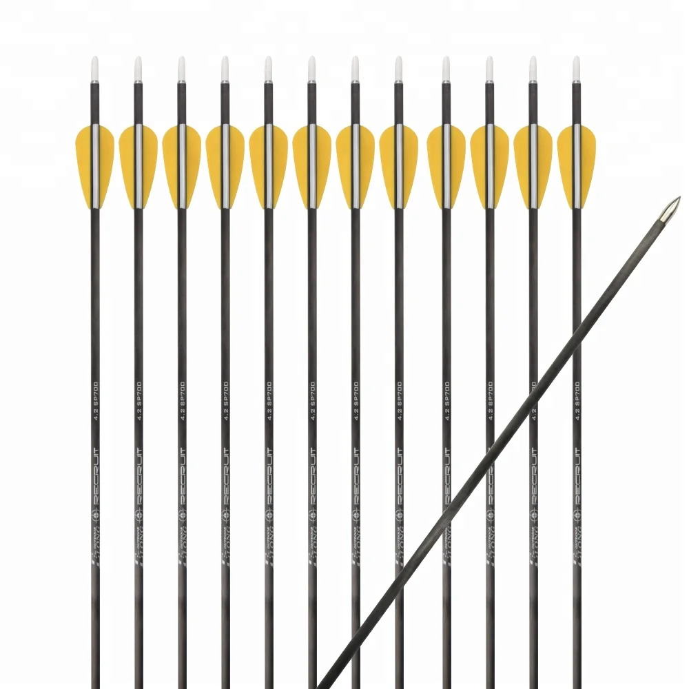 100% Carbon Arrow for Sale Plastic Vane 4.2mm High Quality Shooting Bow and Arrow