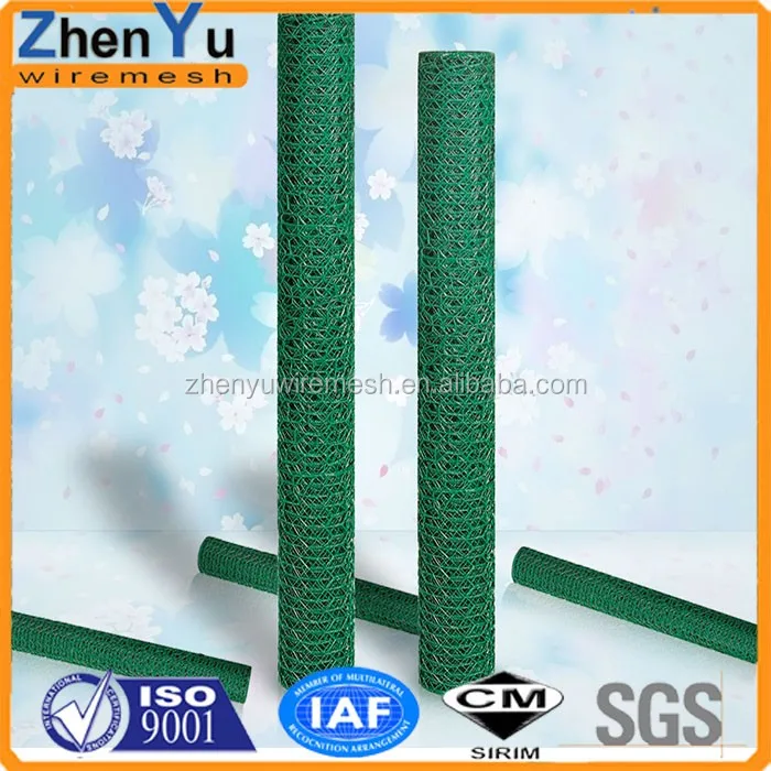 Galvanized hexagonal wire netting/chicken coop wire mesh/plastic coated chicken wire mesh