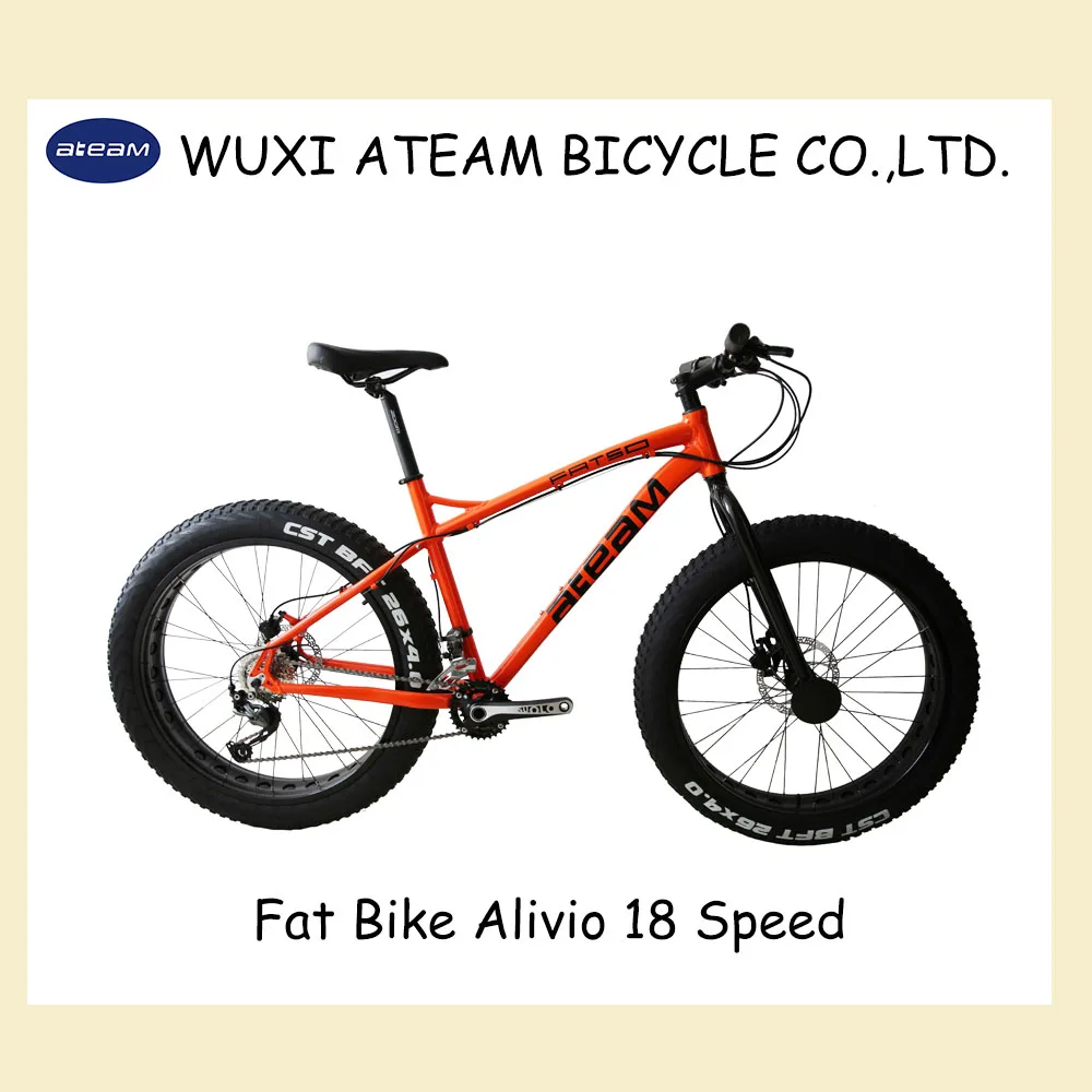 FAT4-fat bike 29  Inch ALIVO 9 SPEEDS fat mountain  bike CHINA FAT BIKE