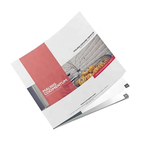 
Good Quality Custom Printing Perfect Binding Art Book Services for Magazine /Brochure /Journal Photo/English Book Printing 