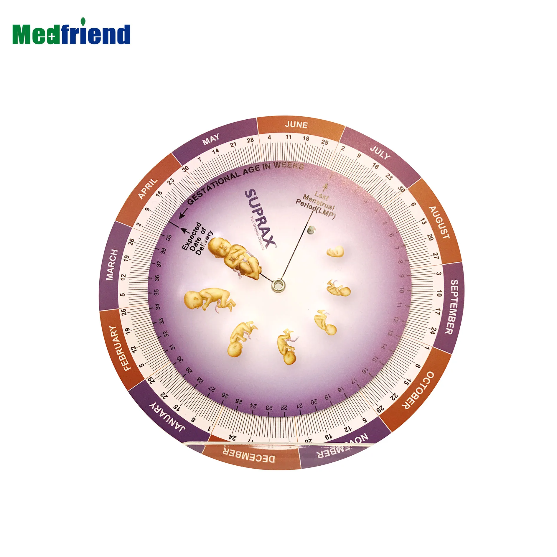 Novelty  Facny  Medical  Pregnancy  Due Date Calculator Wheel  with 3D  Embossed  Fetal Development Images