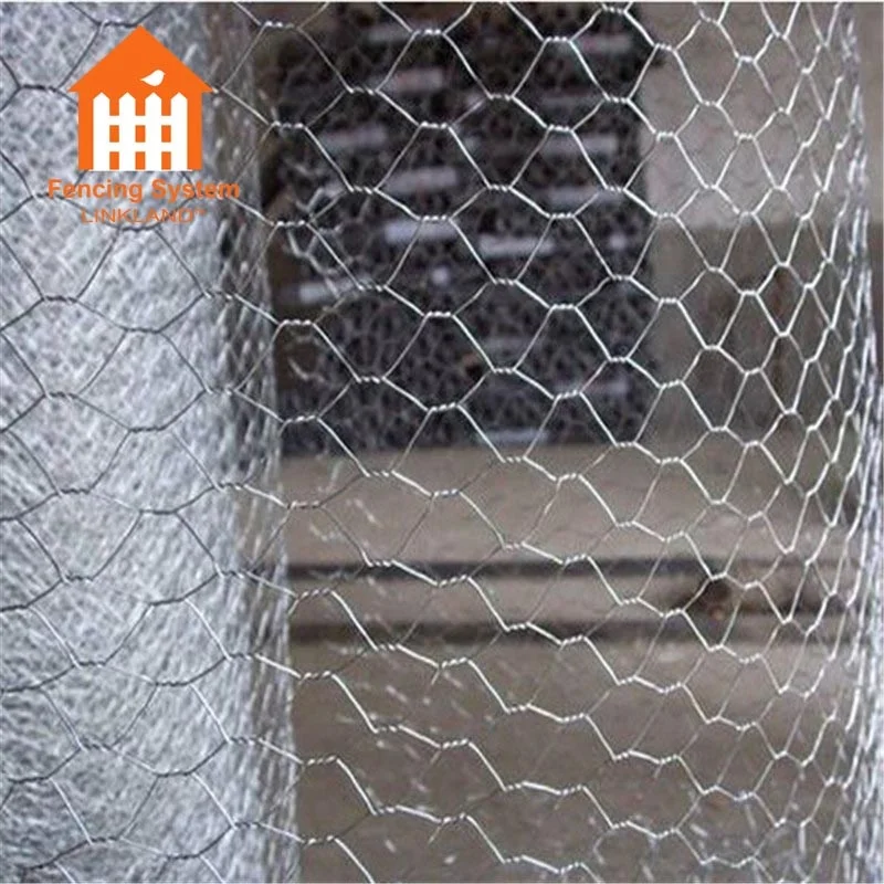 Galvanized Hexagonal wire mesh/Chicken wire mesh